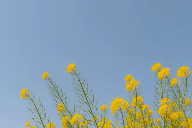 鬧心！老公和我商量，想把雙相情感障礙的侄子接過來一起住幾年