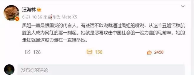 汪海林炮轟鳳姐:一直都是恨國黨的代言人、惡毒攻擊中國的馬前卒