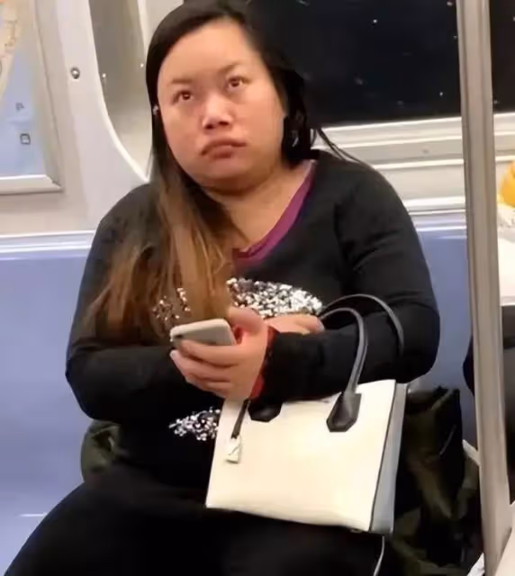 汪海林炮轟鳳姐:一直都是恨國黨的代言人、惡毒攻擊中國的馬前卒