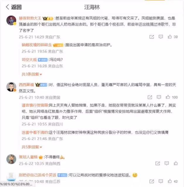 汪海林炮轟鳳姐:一直都是恨國黨的代言人、惡毒攻擊中國的馬前卒