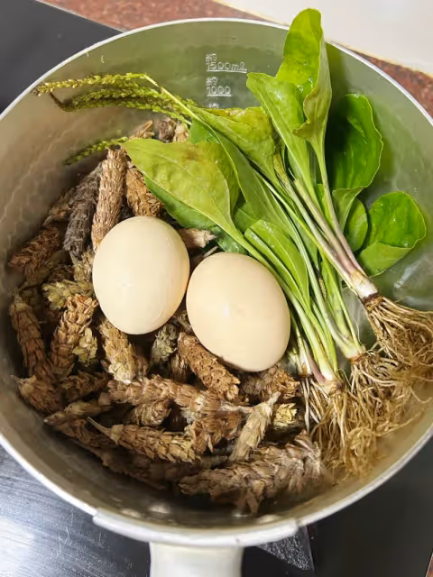 廣東阿媽的保養靚湯，對乳腺好好~