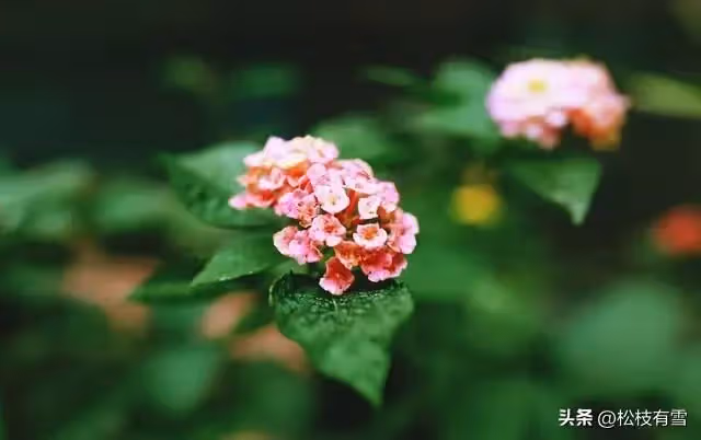 我退休金6000，住院兒子女兒都不管，出院後他們向我要錢，我：滾