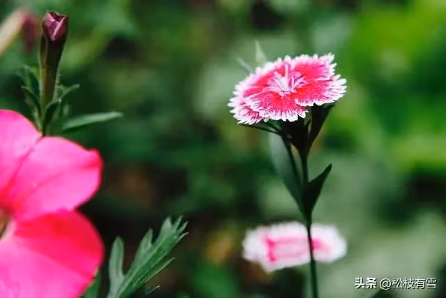 我退休金6000，住院兒子女兒都不管，出院後他們向我要錢，我：滾