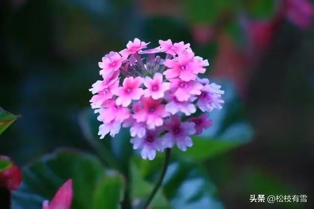我退休金6000，住院兒子女兒都不管，出院後他們向我要錢，我：滾
