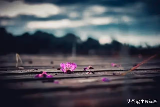 奶奶給大伯留兩套房，她葬禮過後，大伯攔住我爸：都別走，先算帳