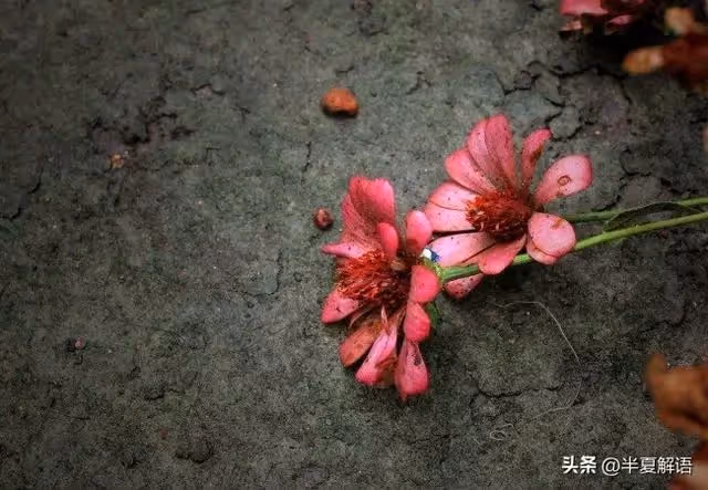 奶奶給大伯留兩套房，她葬禮過後，大伯攔住我爸：都別走，先算帳