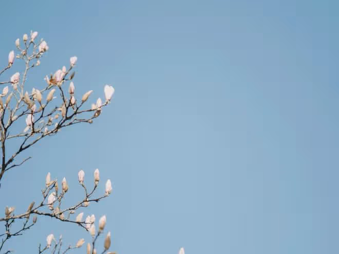 老公婚後拿錢給弟弟，我不滿，老公卻說：我花自己的錢，你管不著