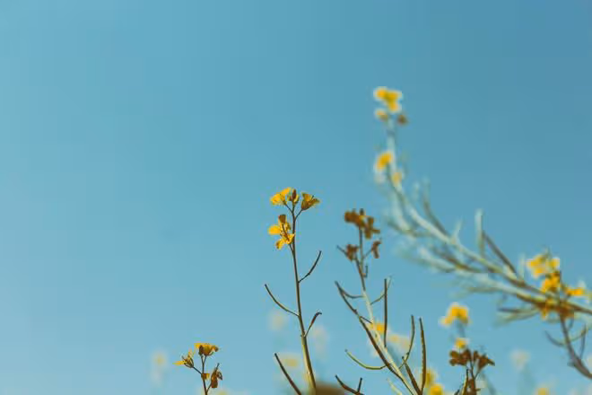 老公去世兒媳照顧婆婆反被趕，再婚當天婆婆拿出遺囑，才知錯怪她