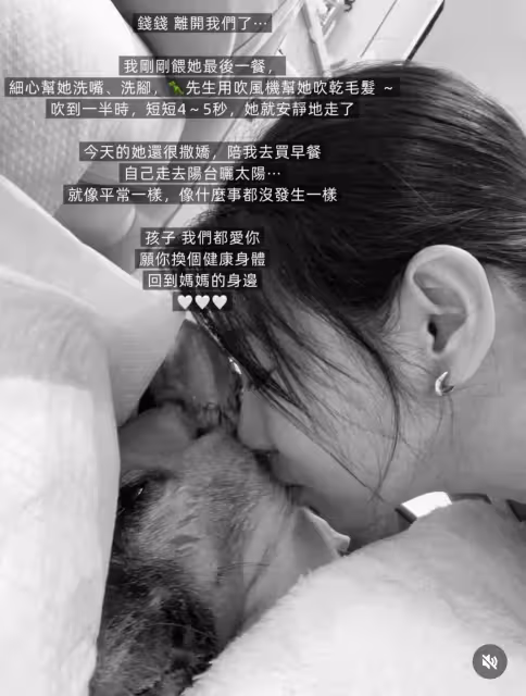 愛犬錢錢抗癌106天平靜離世　米可白哭腫眼喊：不痛了