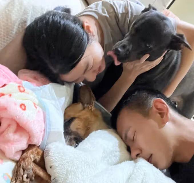 愛犬錢錢抗癌106天平靜離世　米可白哭腫眼喊：不痛了