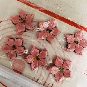 桃花酥🌸（超簡單方子，一次成功）