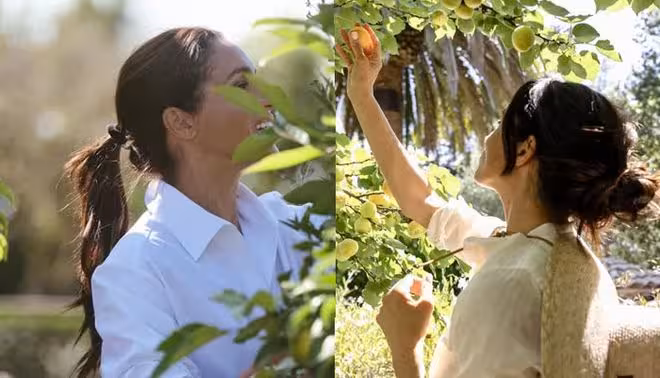 梅根王妃新玫瑰酒尚未上市即成熱銷,內幕揭秘!