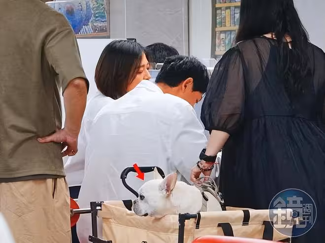 直擊劉品言連晨翔登記結婚!現場1舉動狂灑糖 挺5月孕肚奔戶政