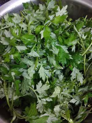 艾草青團（麻薯做法，常溫不會變硬）