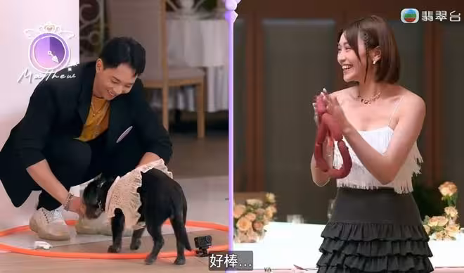 TVB戀綜一改風向！內地網友質疑拖劇情！直呼離譜失望！