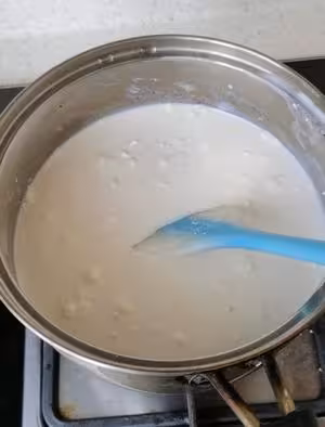 自製牛奶冰棍兒