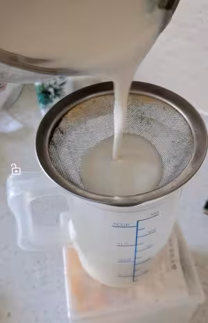 自製牛奶冰棍兒