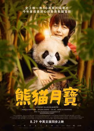 《爸爸3》諾一主演電影!合體「真實熊貓」劉燁、霓娜一家三口合體