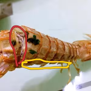 無油炸版的椒鹽皮皮蝦和巧撥蝦殼的方法