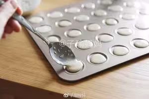 芝麻薄脆蛋白餅乾