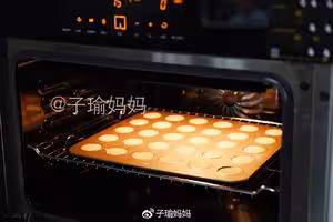 芝麻薄脆蛋白餅乾