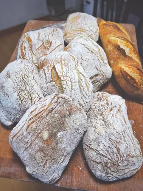 完全不揉的Ciabatta
