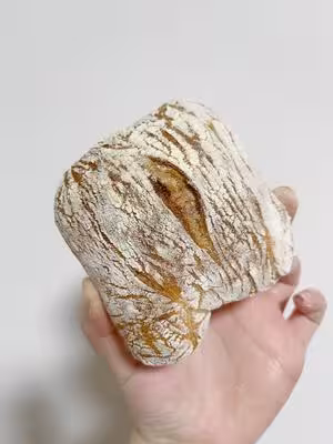 完全不揉的Ciabatta