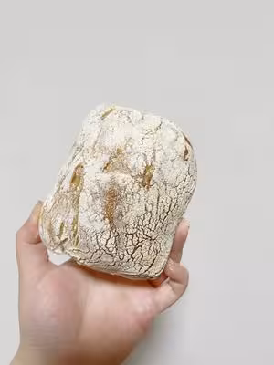 完全不揉的Ciabatta