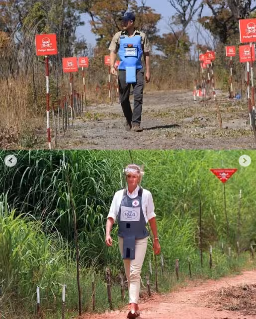 哈里在美國名流圈「水土不服」?梅根站C位,他甘當「隱形人」…