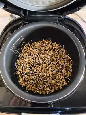 減脂雜糧飯（冷凍儲存方法）