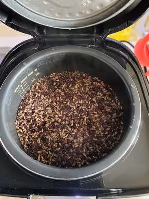 減脂雜糧飯（冷凍儲存方法）