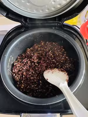 減脂雜糧飯（冷凍儲存方法）