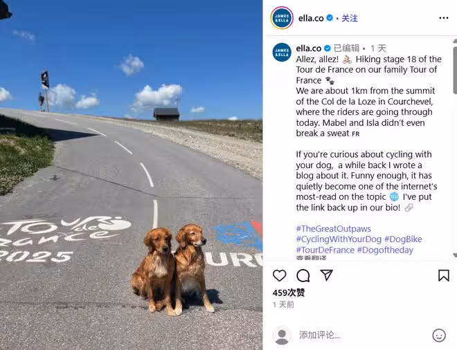 王妃弟弟與萌犬共闖環法賽,網友驚呼基因太強!