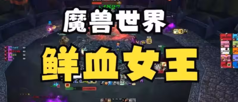 WLK懷舊服HICC副本 EXRT鮮血女王戰術板