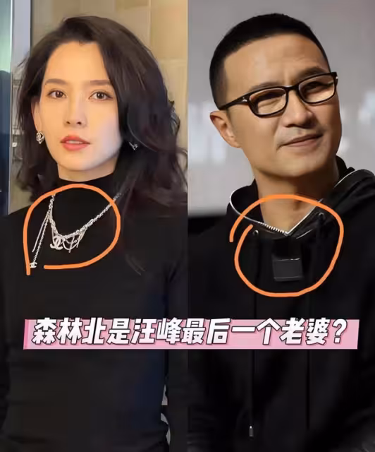 汪峰首談離婚根源，並非章子怡不好，獲取她的美變遲鈍了非常厭倦