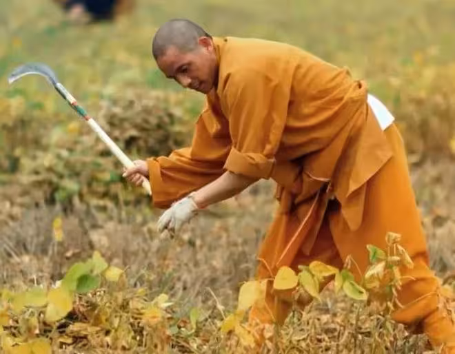上任才1天，印樂法師和美女大量合影被扒，但與釋永信有天壤之別