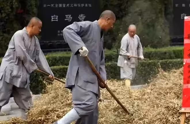 印樂法師太狠了!上任兩天就取消所有收費,被質疑怎麼養活少林寺
