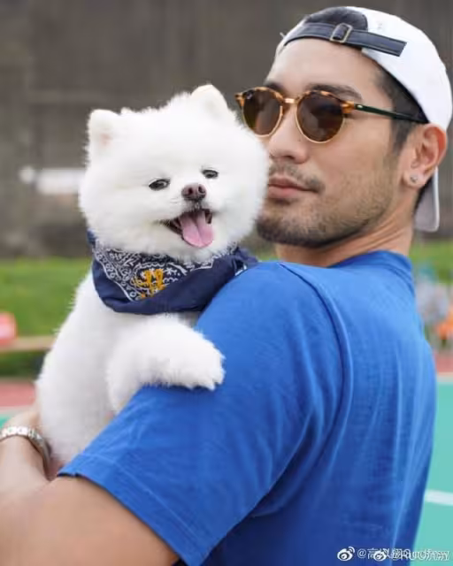 高以翔愛犬離世!生前為毛孩開專屬帳號…二哥悼:去找爸爸爺爺吧