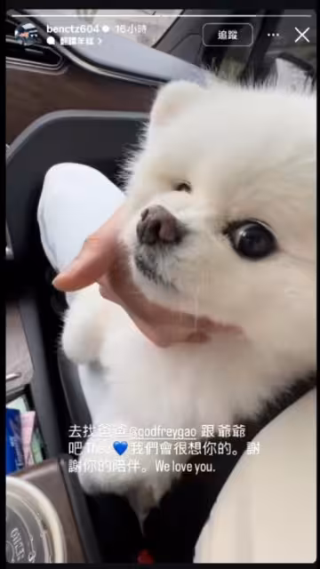 高以翔愛犬離世!生前為毛孩開專屬帳號…二哥悼:去找爸爸爺爺吧