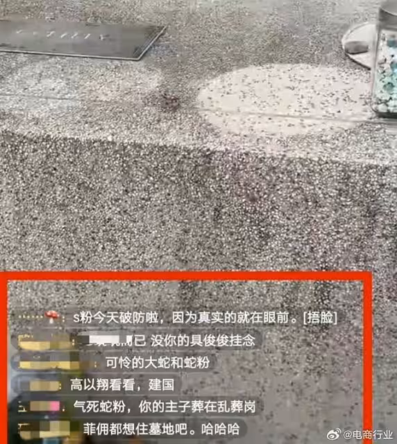 台網紅「大S墓地開直播」網震怒檢舉! 被認出是張蘭粉絲