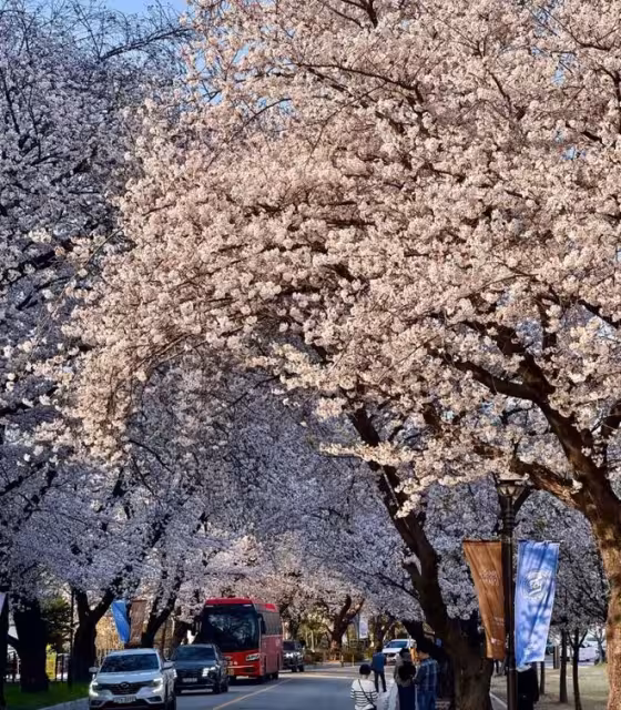 韓國留學一年花多少錢才夠啊！