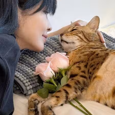 周慧敏痛失愛貓「先後送走了8隻貓狗孩子」 剪髮曝近照報平安