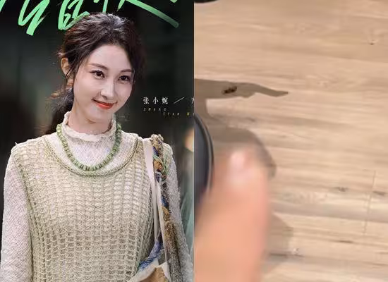 快遞紙箱藏蟑螂卵?女星家中不下廚「驚見巨型蟑螂入侵」 專家證實了