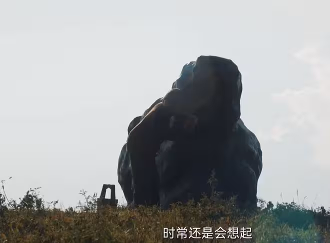 生萬物大結局講了啥?五十年後回憶錄,一個都不能少
