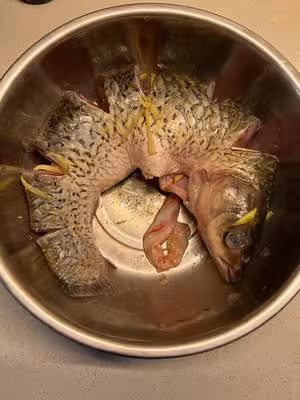草魚燉豆腐