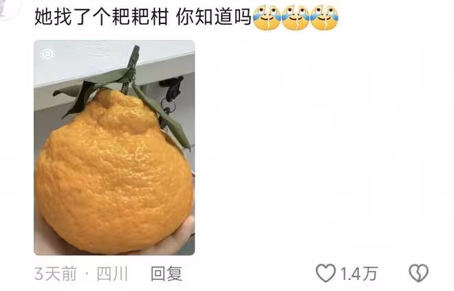 張維伊叫小酒窩「窩子」 高雲翔評論區：你咋氣得她找了個粑粑柑