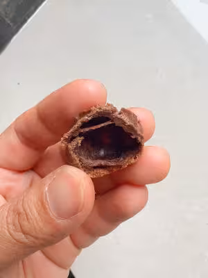 迷你爆漿巧克力泡芙 一口一個