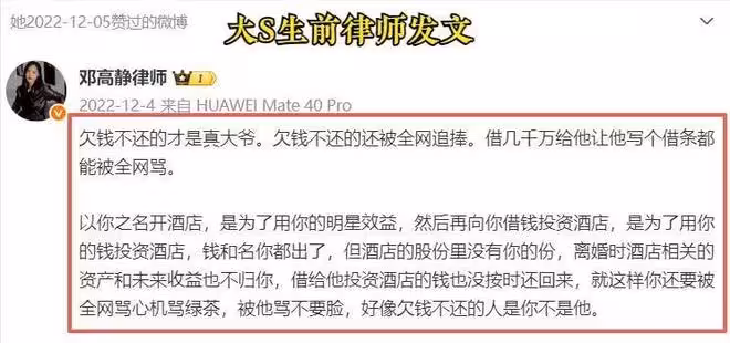 大S離世6個月，S媽著魔了，想讓前女婿還房貸，汪少：與我無關