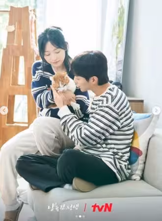 等了10年!最強CP回歸「離婚只爭貓咪」結局還是超甜:又撲通LOVE了