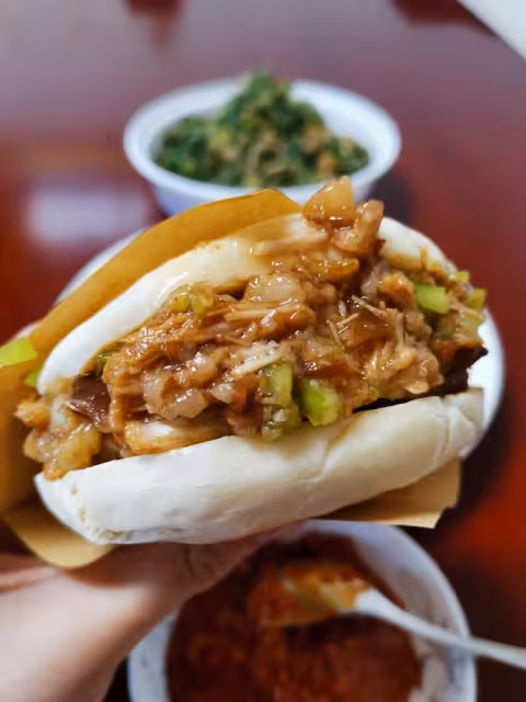 肉夾饃餅(不用泡打粉也外酥里嫩的肉夾饃餅)